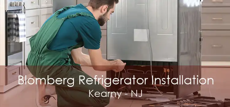 Blomberg Refrigerator Installation Kearny - NJ