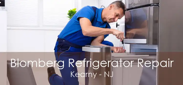 Blomberg Refrigerator Repair Kearny - NJ