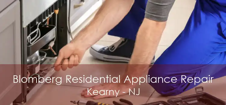 Blomberg Residential Appliance Repair Kearny - NJ