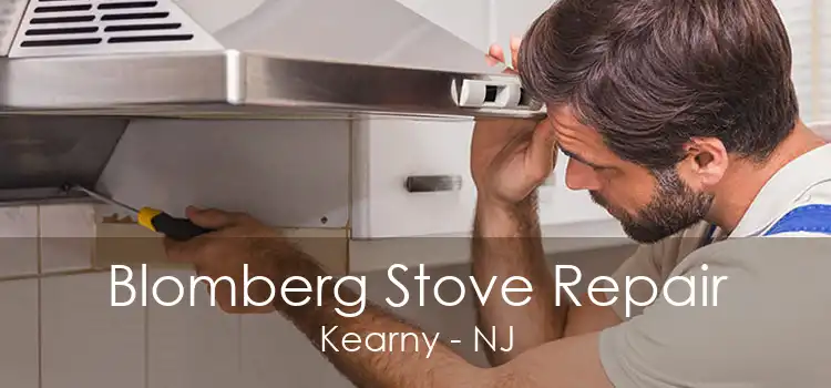 Blomberg Stove Repair Kearny - NJ
