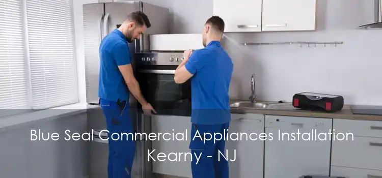 Blue Seal Commercial Appliances Installation Kearny - NJ