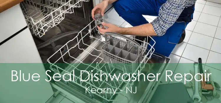 Blue Seal Dishwasher Repair Kearny - NJ