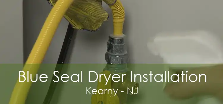Blue Seal Dryer Installation Kearny - NJ