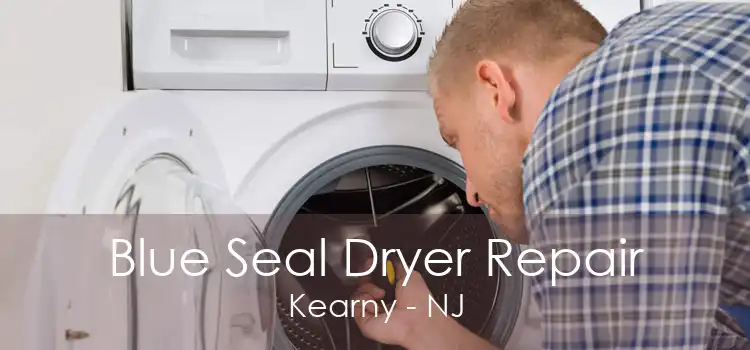 Blue Seal Dryer Repair Kearny - NJ