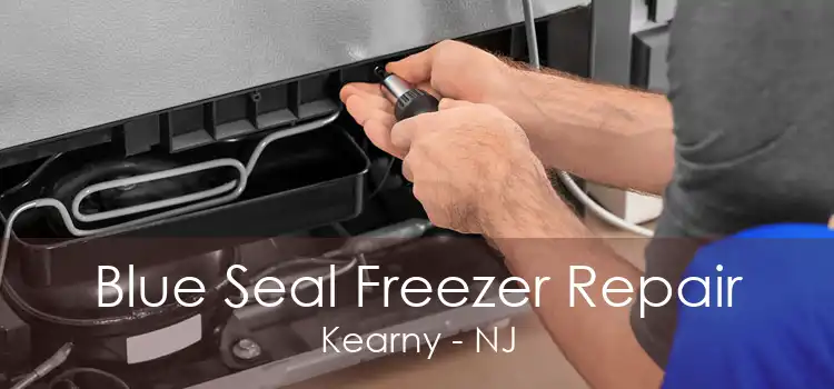 Blue Seal Freezer Repair Kearny - NJ
