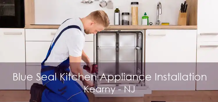 Blue Seal Kitchen Appliance Installation Kearny - NJ