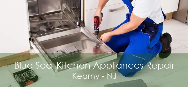 Blue Seal Kitchen Appliances Repair Kearny - NJ