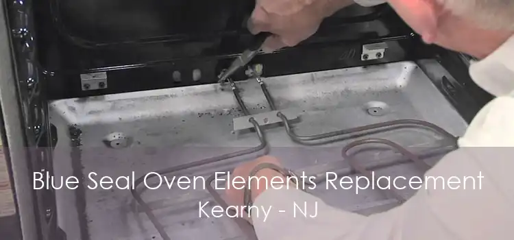 Blue Seal Oven Elements Replacement Kearny - NJ