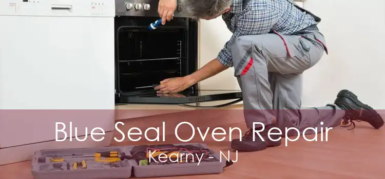 Blue Seal Oven Repair Kearny - NJ