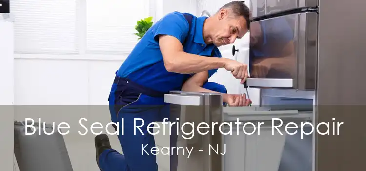Blue Seal Refrigerator Repair Kearny - NJ
