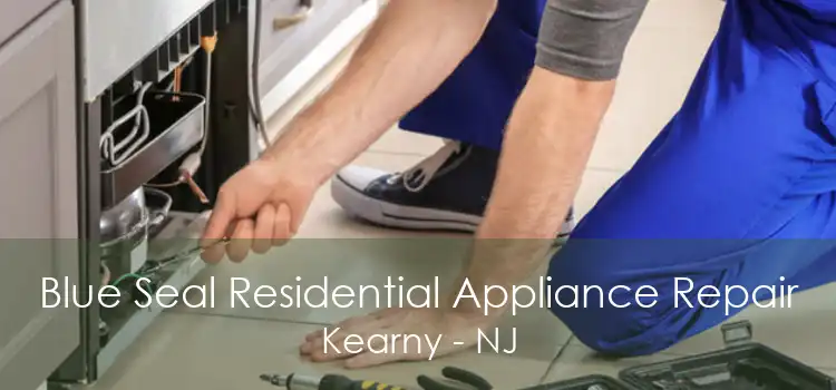 Blue Seal Residential Appliance Repair Kearny - NJ
