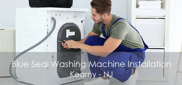 Blue Seal Washing Machine Installation Kearny - NJ
