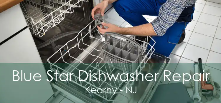 Blue Star Dishwasher Repair Kearny - NJ
