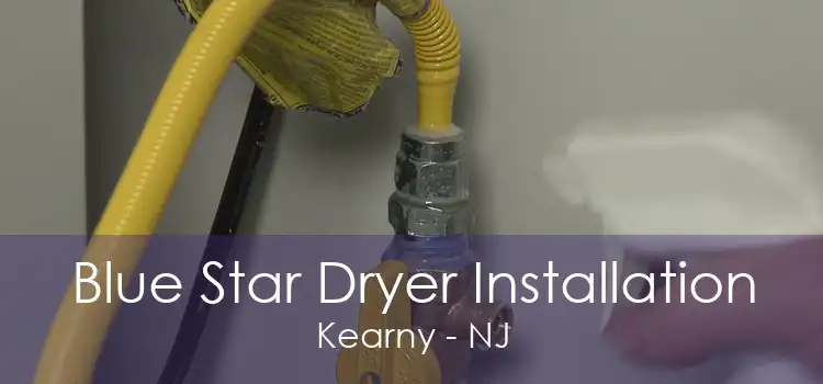 Blue Star Dryer Installation Kearny - NJ