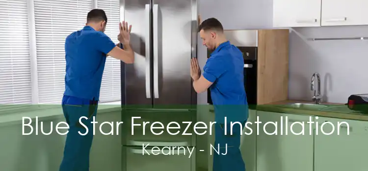 Blue Star Freezer Installation Kearny - NJ