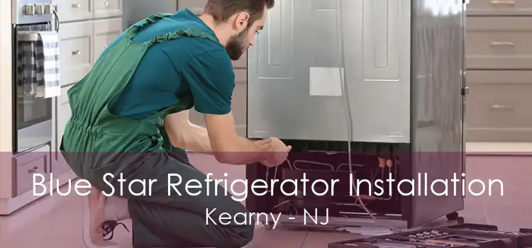 Blue Star Refrigerator Installation Kearny - NJ