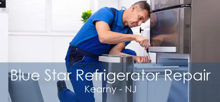 Blue Star Refrigerator Repair Kearny - NJ