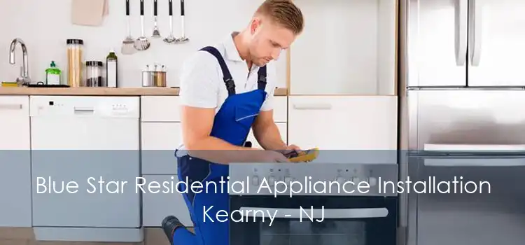 Blue Star Residential Appliance Installation Kearny - NJ