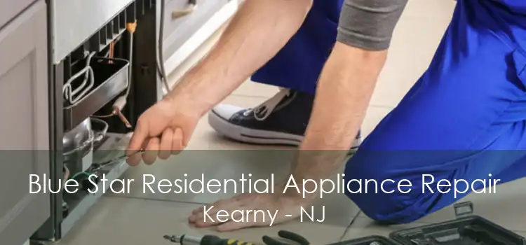 Blue Star Residential Appliance Repair Kearny - NJ