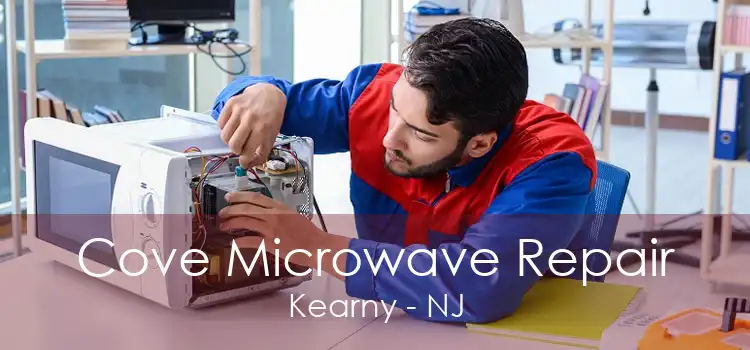 Cove Microwave Repair Kearny - NJ