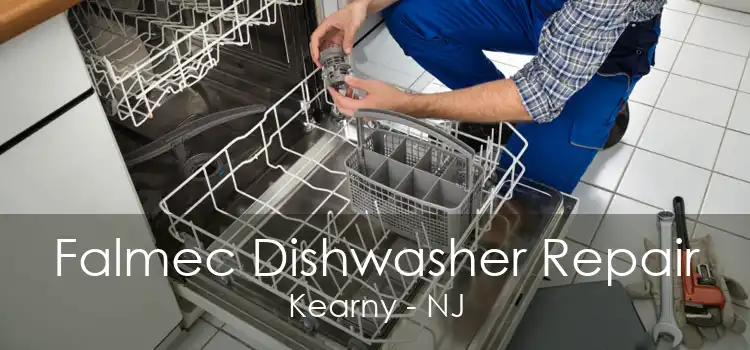 Falmec Dishwasher Repair Kearny - NJ