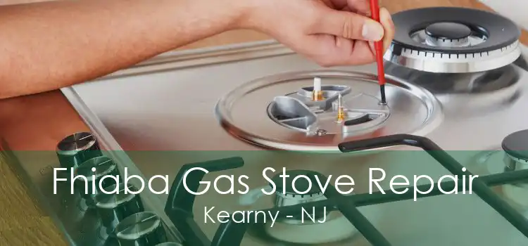 Fhiaba Gas Stove Repair Kearny - NJ