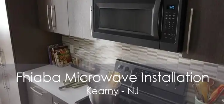 Fhiaba Microwave Installation Kearny - NJ