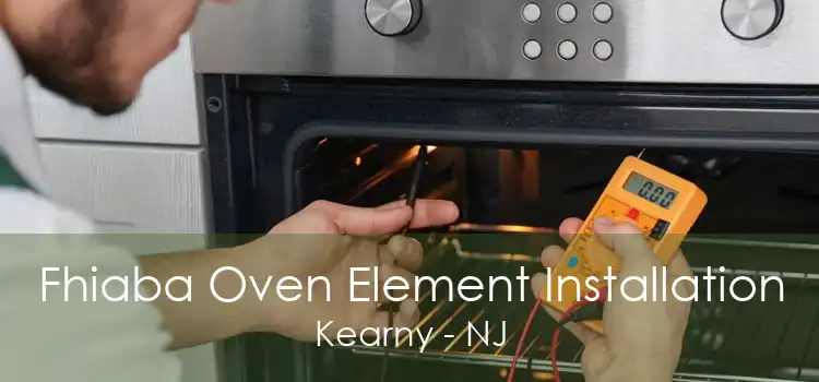 Fhiaba Oven Element Installation Kearny - NJ