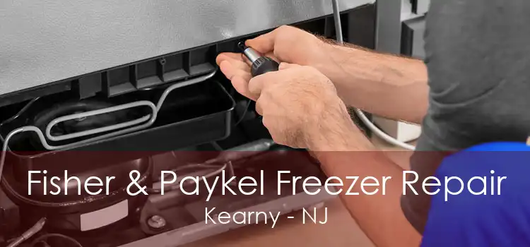 Fisher & Paykel Freezer Repair Kearny - NJ