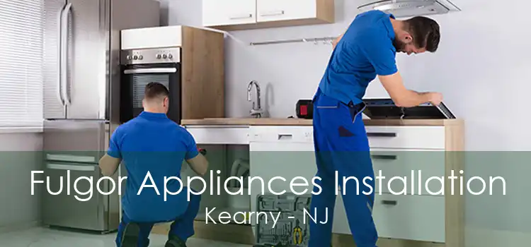 Fulgor Appliances Installation Kearny - NJ