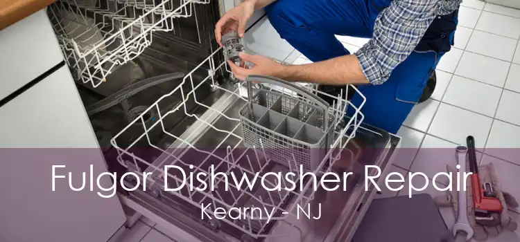 Fulgor Dishwasher Repair Kearny - NJ