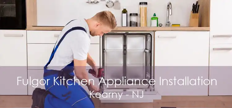 Fulgor Kitchen Appliance Installation Kearny - NJ