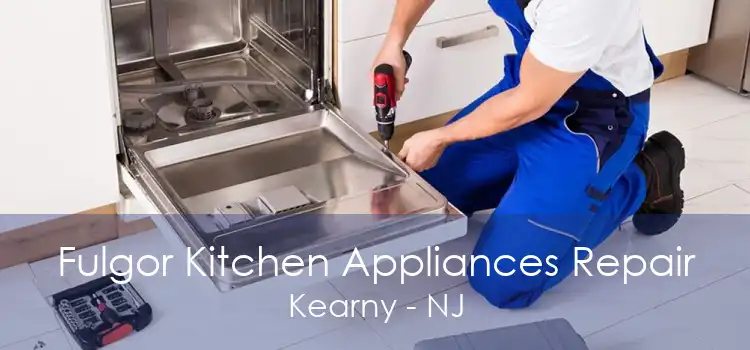 Fulgor Kitchen Appliances Repair Kearny - NJ