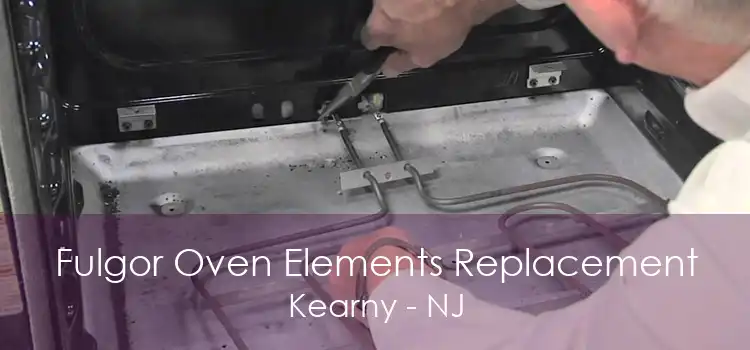 Fulgor Oven Elements Replacement Kearny - NJ
