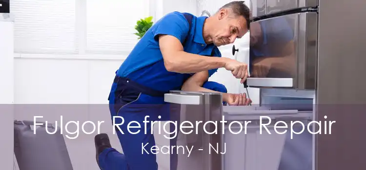 Fulgor Refrigerator Repair Kearny - NJ