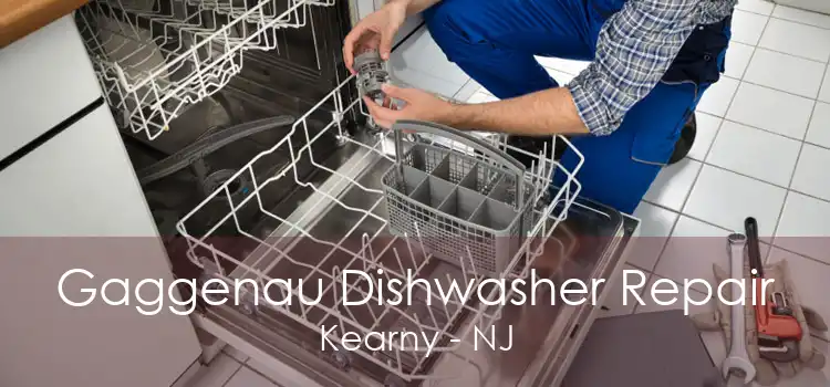 Gaggenau Dishwasher Repair Kearny - NJ