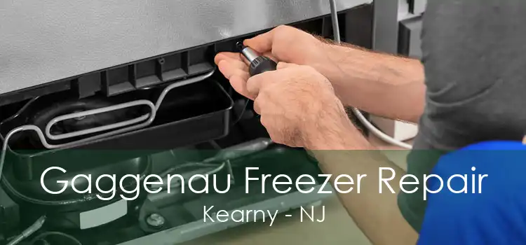 Gaggenau Freezer Repair Kearny - NJ