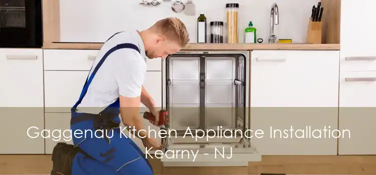 Gaggenau Kitchen Appliance Installation Kearny - NJ
