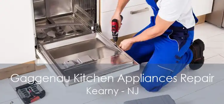 Gaggenau Kitchen Appliances Repair Kearny - NJ