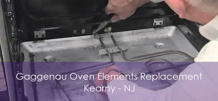 Gaggenau Oven Elements Replacement Kearny - NJ