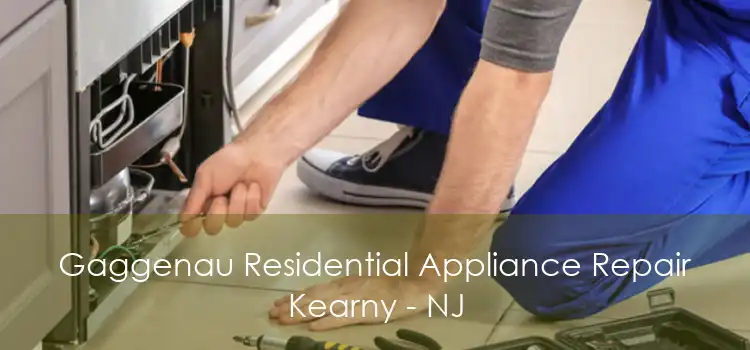 Gaggenau Residential Appliance Repair Kearny - NJ