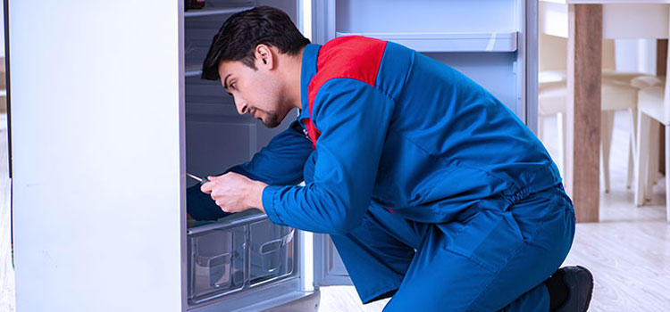 Haier Freezer Repair Services in Kearny, New Jersey