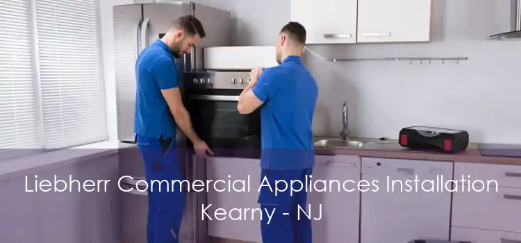 Liebherr Commercial Appliances Installation Kearny - NJ