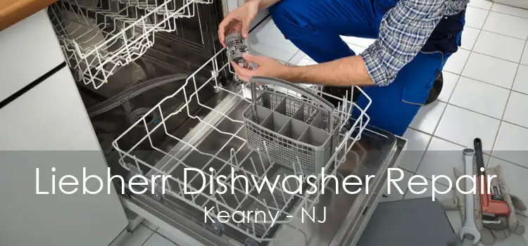 Liebherr Dishwasher Repair Kearny - NJ