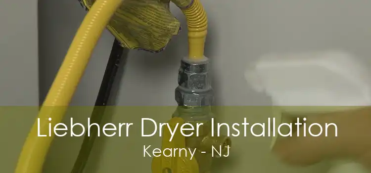 Liebherr Dryer Installation Kearny - NJ