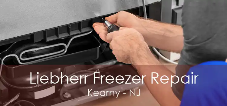 Liebherr Freezer Repair Kearny - NJ