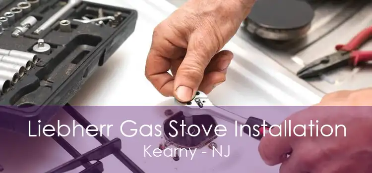 Liebherr Gas Stove Installation Kearny - NJ