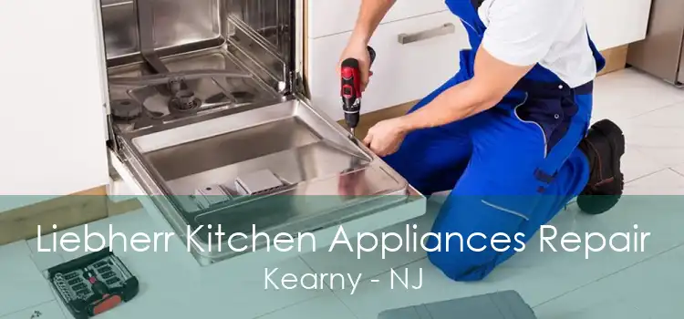 Liebherr Kitchen Appliances Repair Kearny - NJ