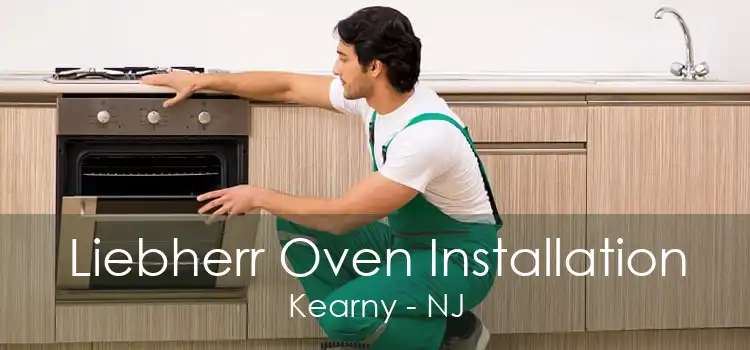 Liebherr Oven Installation Kearny - NJ