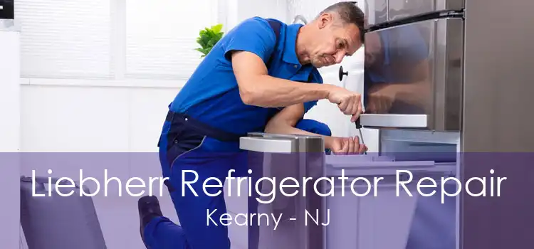 Liebherr Refrigerator Repair Kearny - NJ